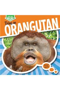 Being an Orangutan