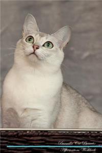 Burmilla Cat Affirmations Workbook Burmilla Cat Presents