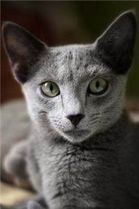 Russian Blue Cat Journal 