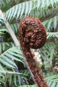 New Zealand Fern Koru Journal