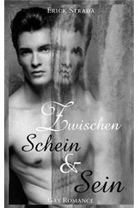 Zwischen Schein und Sein (Gay Romance)