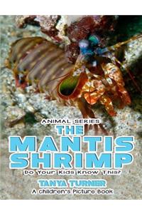 THE MANTIS SHRIMP Do Your Kids Know This?