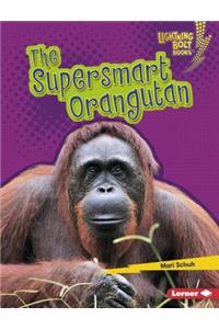 Supersmart Orangutan