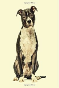 American Staffordshire Terrier: Artified Pets Journal/Notebook/Diary