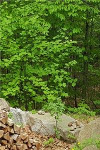 Journal Springtime Leaves Woodpile