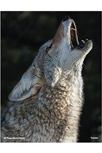 80 Page Coyote Sketchbook