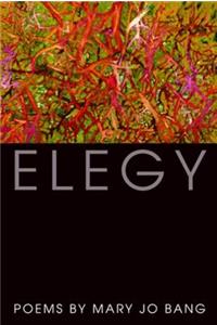Elegy