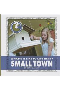 What's It Like to Live Here? Small Town
