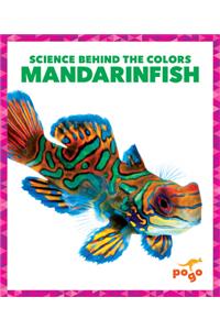 Mandarinfish