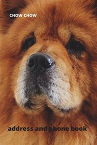 Address and Phone Book