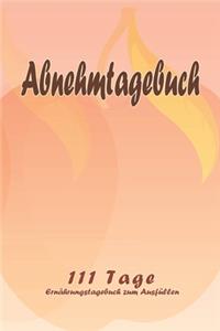 Abnehmtagebuch - 111 Tage Ernährungstagebuch zum Ausfüllen