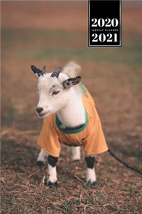 Goat Farmer Farming Herder Goatherd Week Planner Weekly Organizer Calendar 2020 / 2021 - Baby im T-Shirt: Cute Wildlife Animal Pet Bullet Journal Notebook Diary in 6" x 9" Inch Pocket Size