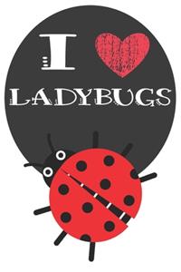 I Heart Ladybugs