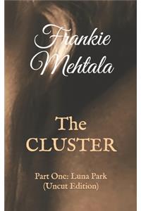 The CLUSTER