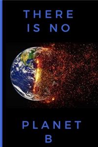 There is no planet B
