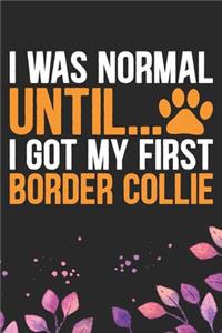 I Was Normal Until I Got My First Border Collie