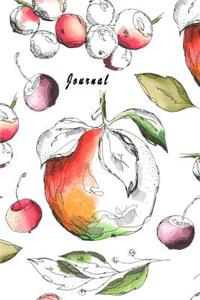 Journal