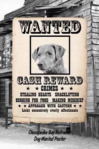 Chesapeake Bay Retriever Dog Wanted Poster