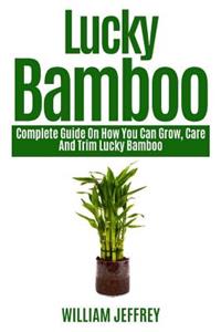 Lucky Bamboo