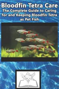 Bloodfin Tetra Care