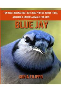 Blue Jay