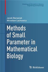 Methods of Small Parameter in Mathematical Biology