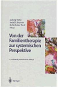 Von der Familientherapie zur systemischen Perspektive