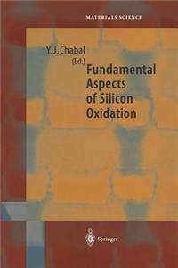 Fundamental Aspects of Silicon Oxidation
