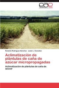 Aclimatizacion de Plantulas de Cana de Azucar Micropropagadas