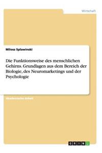 Funktionsweise des menschlichen Gehirns. Grundlagen aus dem Bereich der Biologie, des Neuromarketings und der Psychologie