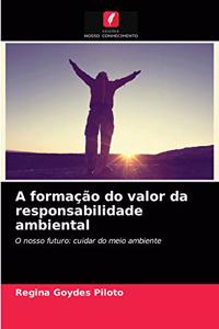 A formação do valor da responsabilidade ambiental