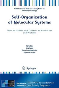 Self-Organization of Molecular Systems