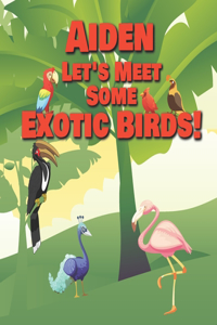 Aiden Let's Meet Some Exotic Birds!