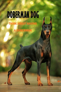 Doberman Dog