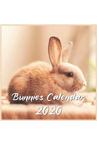 Bunnies Calendar 2020