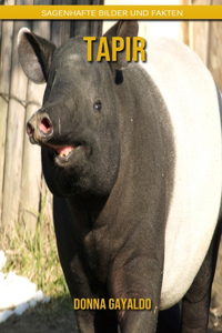 Tapir