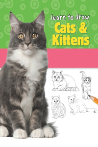 Learn to Draw Cats & Kittens