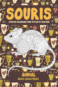 Livre de coloriage pour stylos et crayons - Gros caractères - Animal - Souris