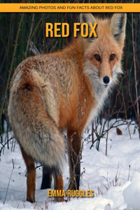 Red Fox