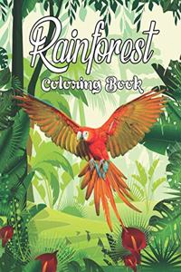 Rainforest Coloring Book