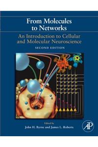 From Molecules to Networks