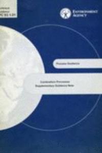 Ippc S3 1.01 Supplementary Technical Guidance: Combustion Processes