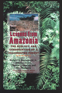 Lessons from Amazonia