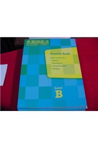 Reading 2007 Intervention Practice Book Grade 2