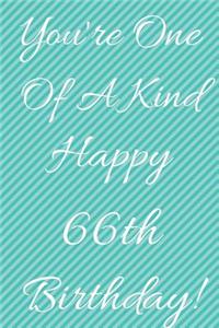 You're One Of A Kind Happy 66th Birthday