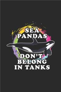 Sea Pandas Don't Belong In Tanks