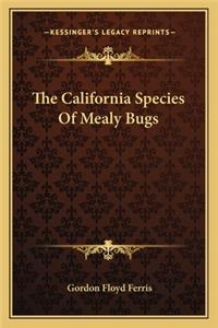 The California Species of Mealy Bugs