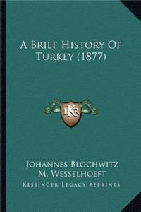 A Brief History Of Turkey (1877)