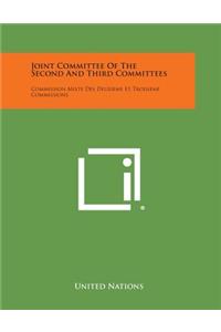 Joint Committee of the Second and Third Committees