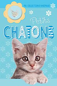 Ma Collection d'Animaux: Petits Chatons